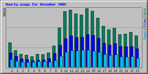 Hourly usage for December 2002