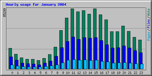Hourly usage for January 2004