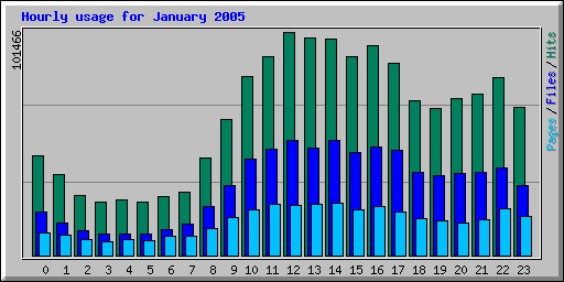 Hourly usage for January 2005