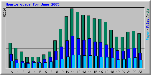 Hourly usage for June 2005