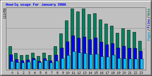 Hourly usage for January 2006