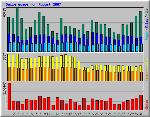 Daily usage for August 2007