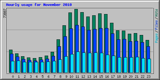 Hourly usage for November 2010