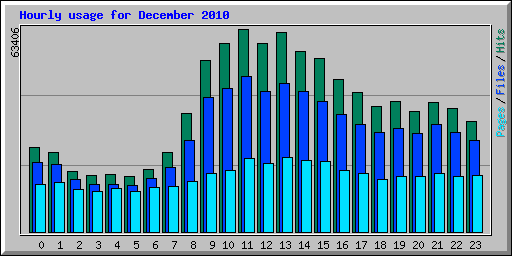 Hourly usage for December 2010